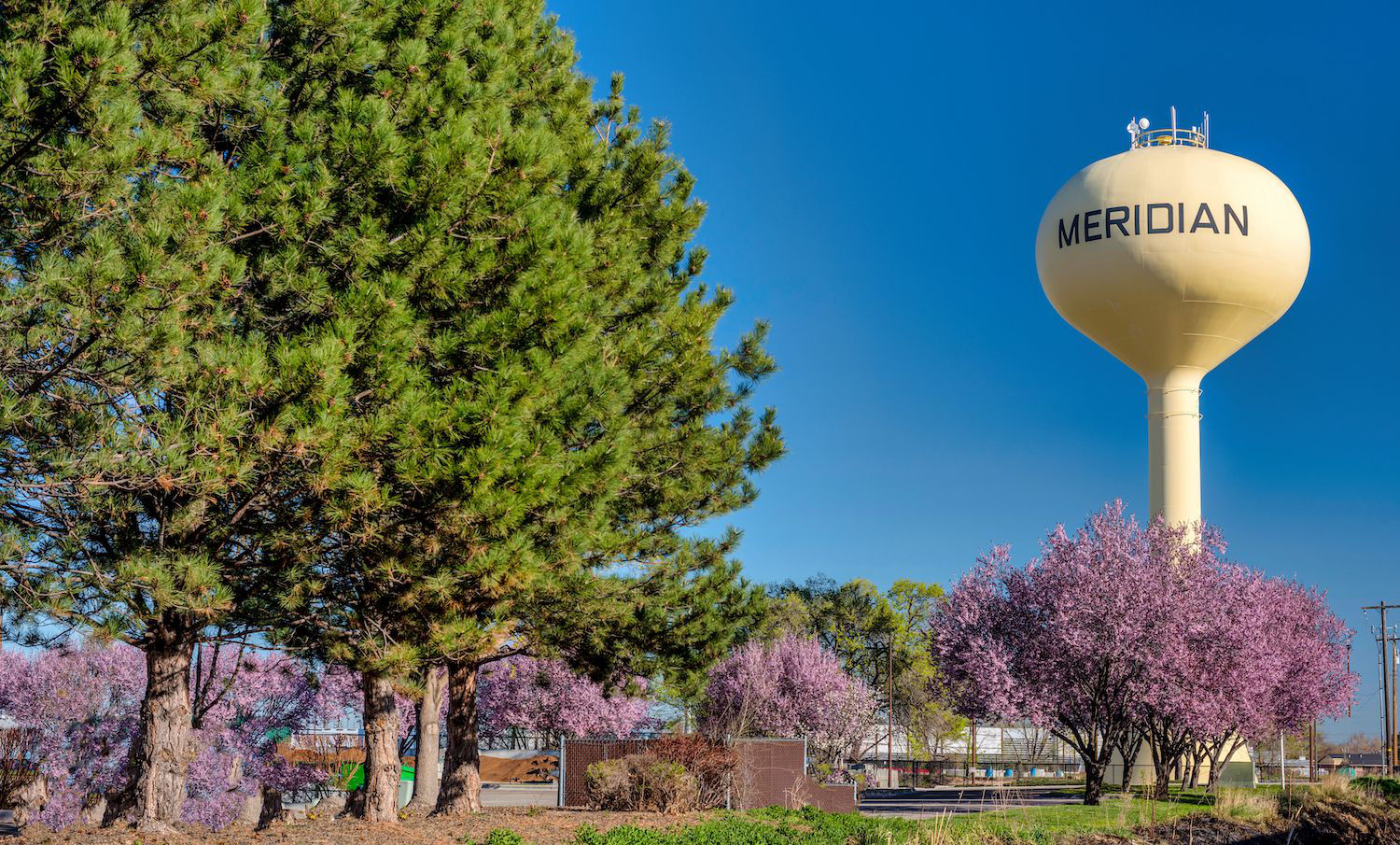 Meridian Watertower